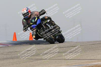 media/Feb-10-2023-TrackDaz (Fri) [[827c11d241]]/B Group/1230pm (Outside Grapevine)/
